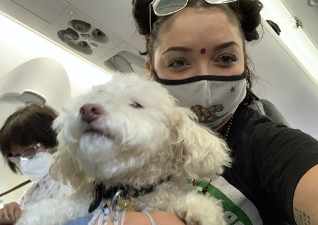 アマチュアペッギングオンリーファンズ アート裸 写真