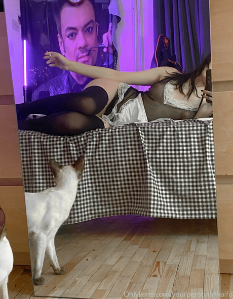 Your Waifu HDモデル 写真