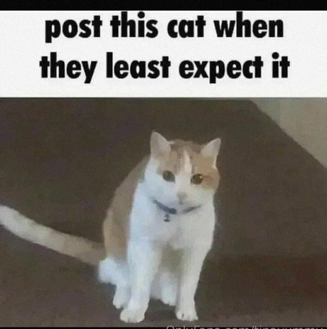 超デブおばあちゃんオンリーファンズ セクシーヌード 画像