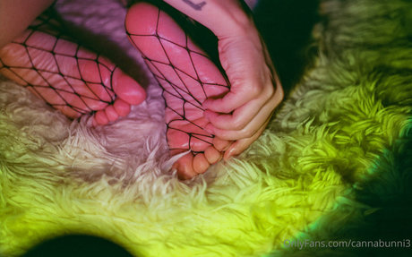 獣医オンリーファンズ ヌード 写真