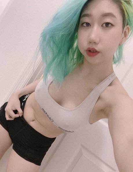 Danisaurz アートスター 写真