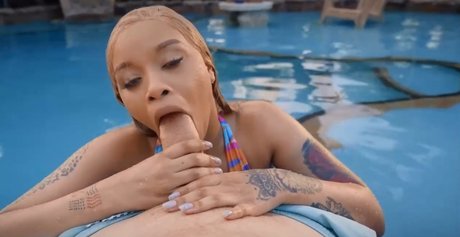 Advoree アートスター 写真