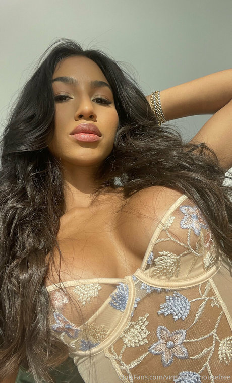 Virginia Sanhouse セックスモデル 画像