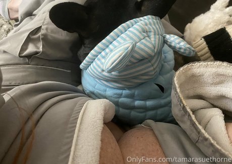 Tamarasuethorne セックスポルノスター 写真