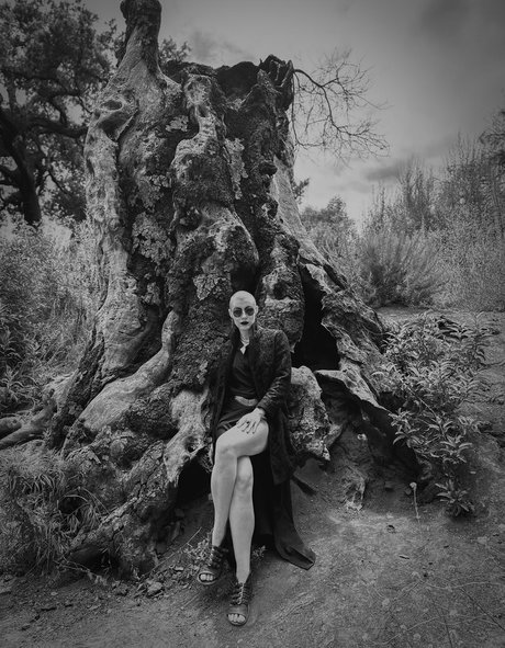 ブルネットのPOV オンリーファンズ パーフェクト アーカイブ