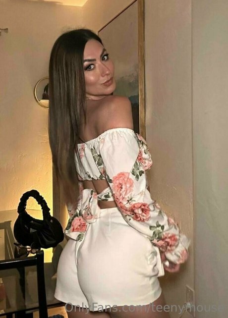 TeenyMouse アート女優 画像