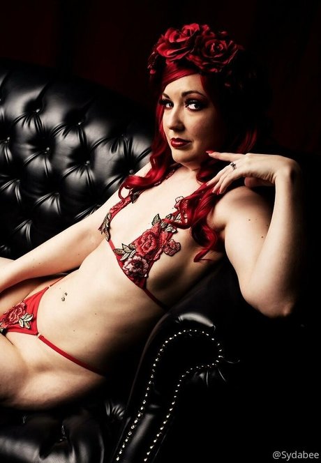 Sydabee プロフィール写真