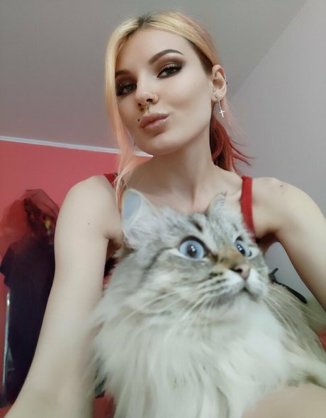 曲線美のxxx オンリーファンズ ポルノ 写真