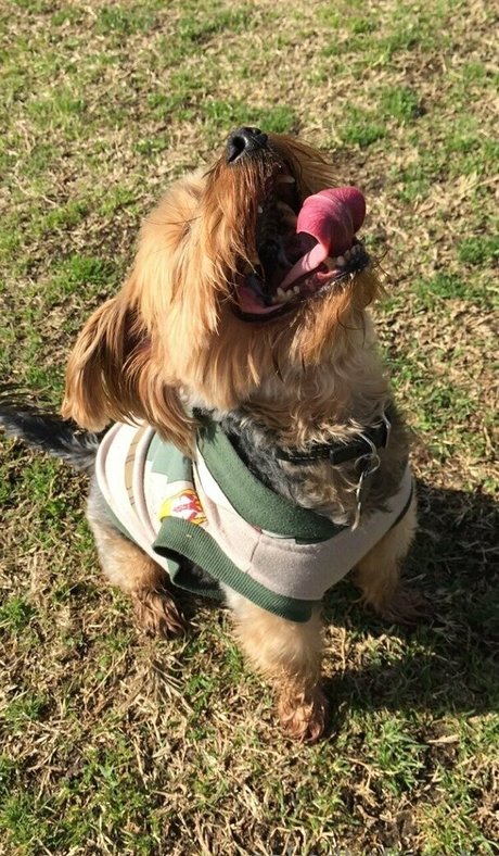 NakedBakers ポルノスター 写真