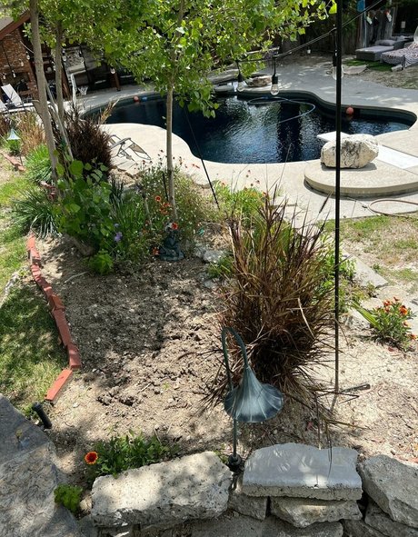 NakedBakers 限定スター 写真