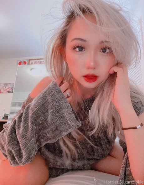 harrietsugarcookie 美しいスター 写真
