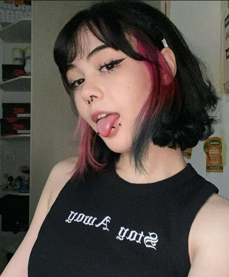 Say cat トップスター 写真