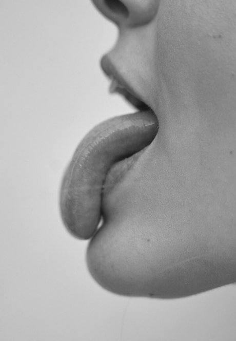 Miss x bee スター xxx アーカイブ