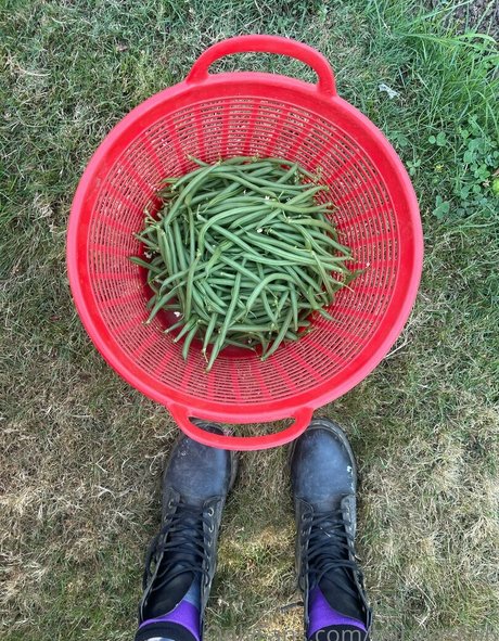 babyjas666 スター 裸 ギャラリー