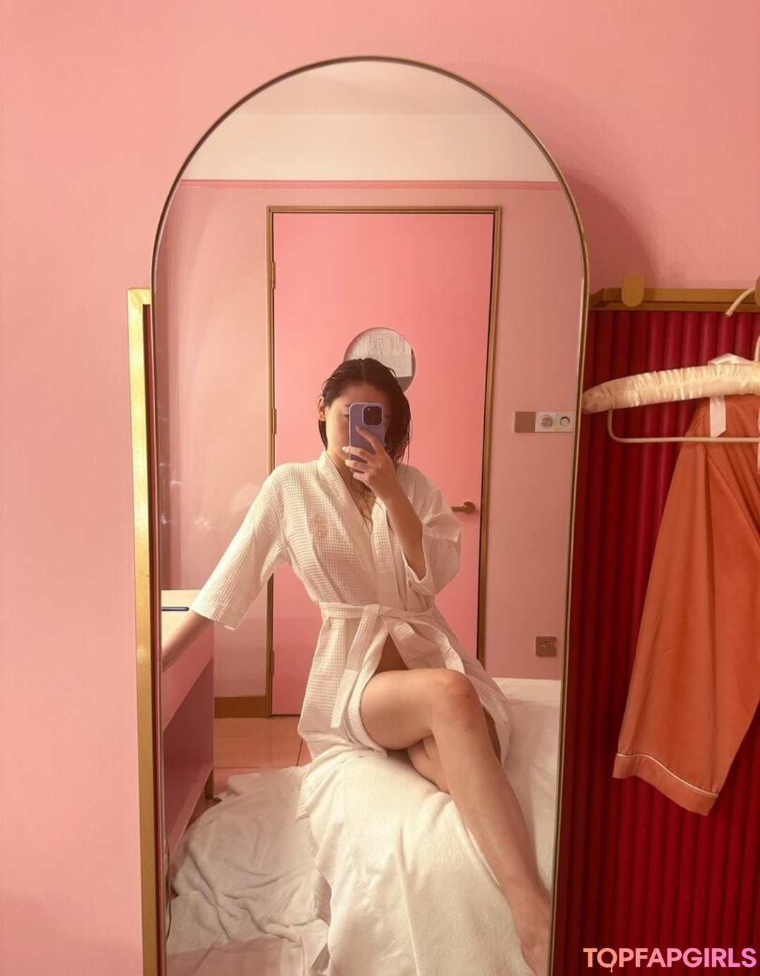 Fanfan スター 画像