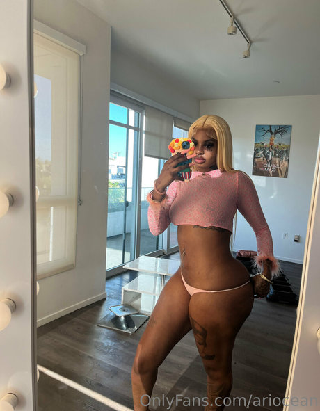 ariocean HDスター 写真