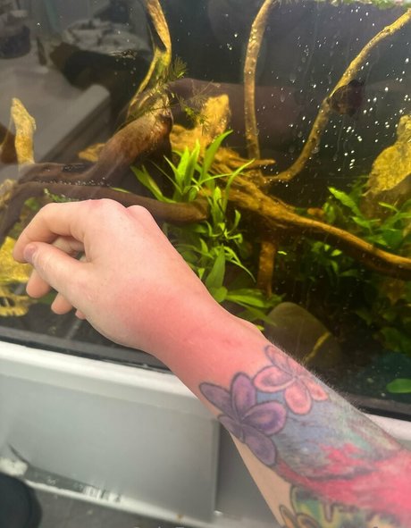 rosegalahfree ヌードモデル 写真