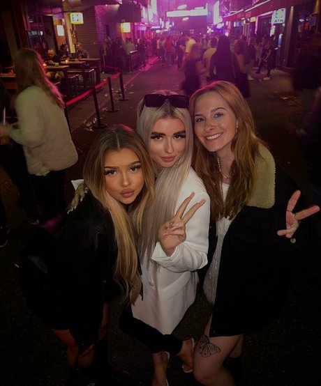 tizimaus かわいいスター 写真