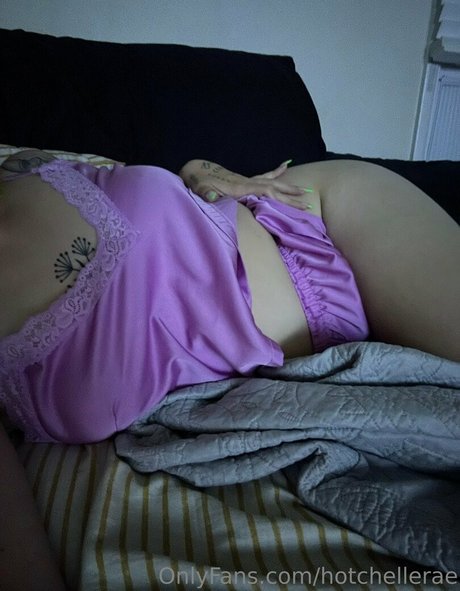 hotchellerae スター アーカイブ