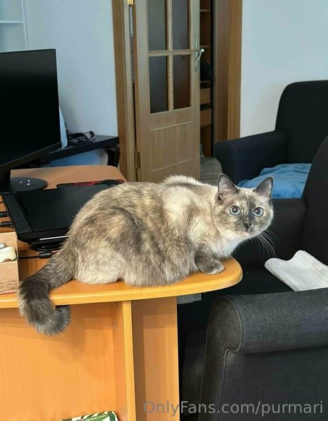 デカ尻ティーンオンリーファンズ ポルノ 画像