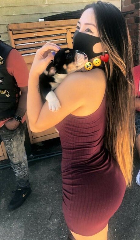 Dajinism 完璧なスター 写真