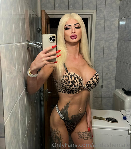 addashemale ポルノスター 画像