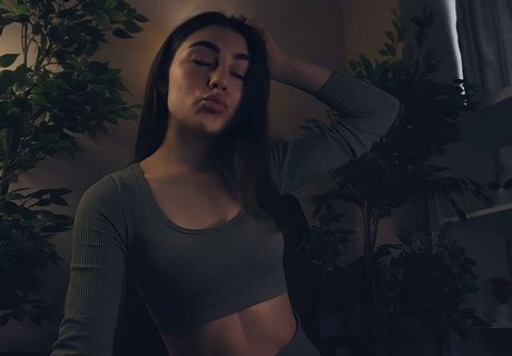 Earlyflowerr 素敵なスター 写真