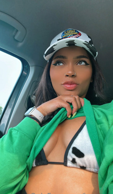 エボニートップオンリーファン 美しい 写真