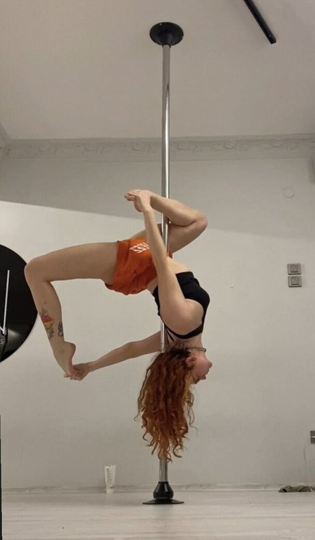 Dixowho セックススター 写真