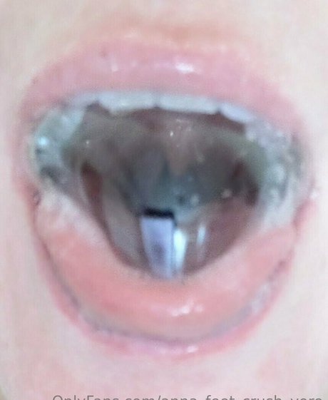 ポルノオンリーファンズ 素敵 画像