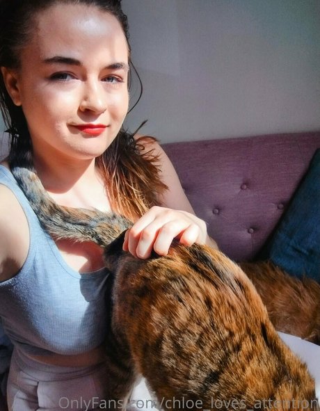 chloe loves attention ポルノスター ギャラリー