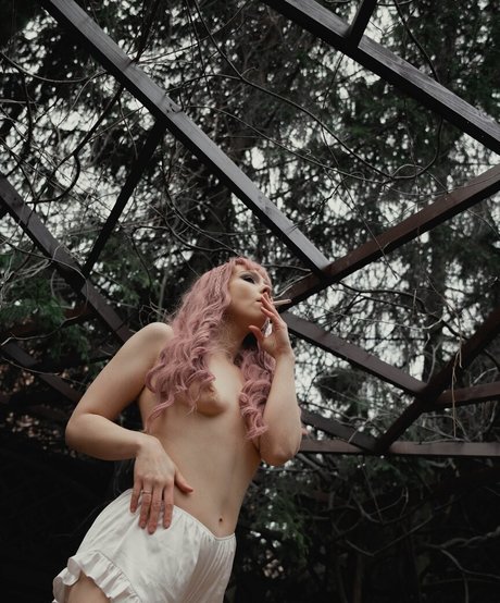 Kamochi ASMR 最高のスター ギャラリー