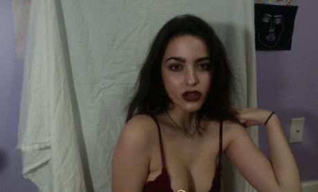 artbitch666 美しいスター 写真