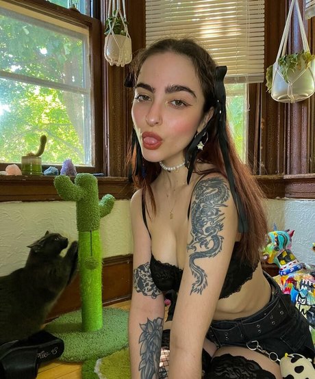 artbitch666 トップスター ギャラリー