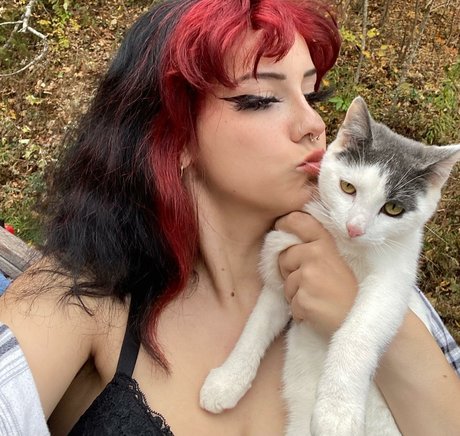 オンリーファンズの動画 限定 ギャラリー