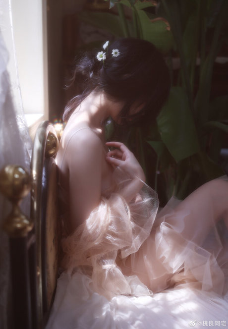 Taoliangazhai 最高のポルノスター 写真