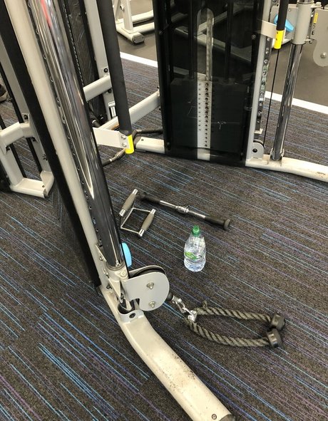 aldana30 裸モデル アーカイブ