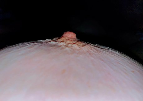 プッシー尻オンリーファンズ xxx ギャラリー