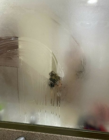 Hannaasmithhh_ 写真集