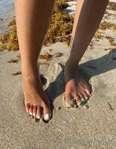 ohsosofti プロフィール写真