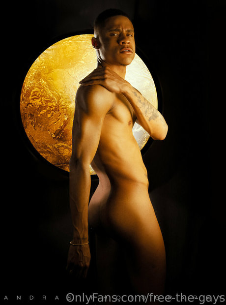 andras photography free 無料スター 写真