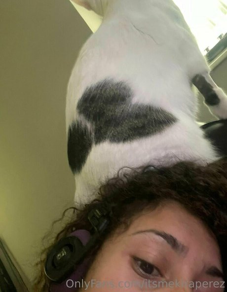 巨尻オンリーファン ホットxxx 写真