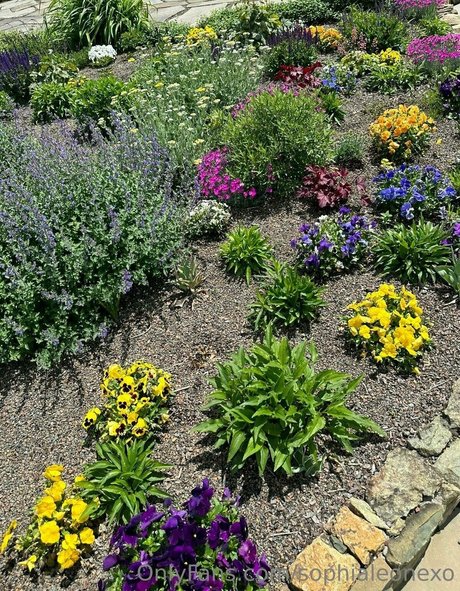 Sophialeonexo かわいいスター ギャラリー