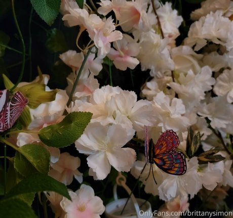 黒人のオンリーファンズ 無料 アーカイブ