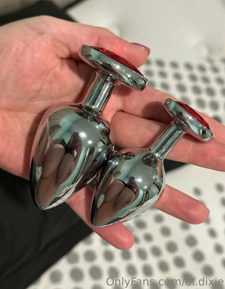 of dixie 美しいスター 写真