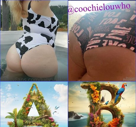 エボニートップオンリーファン 可愛い 画像