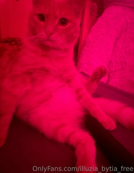 ランジェリーヌードオンリーファンズ 可愛い ギャラリー