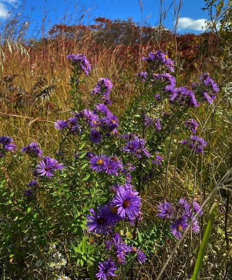 妻のアナルオンリーファンズ ホットセクシー 写真