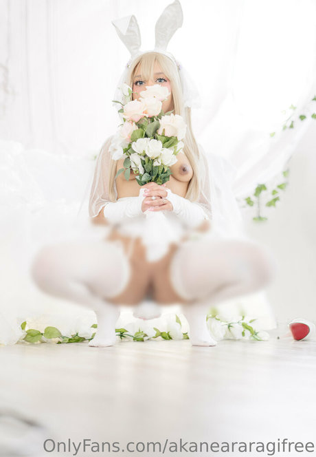 akaneararagifree 完璧なモデル 写真