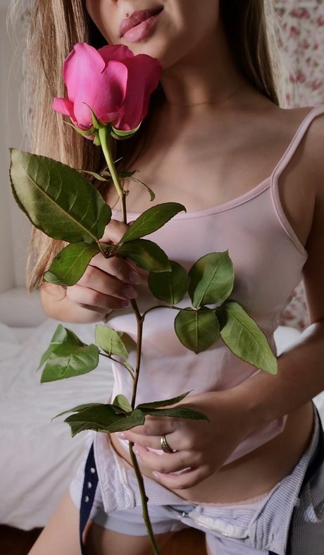 HoneyGirl スター ヌード ギャラリー